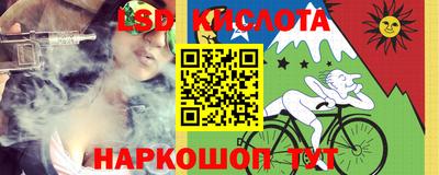 индика Лесосибирск