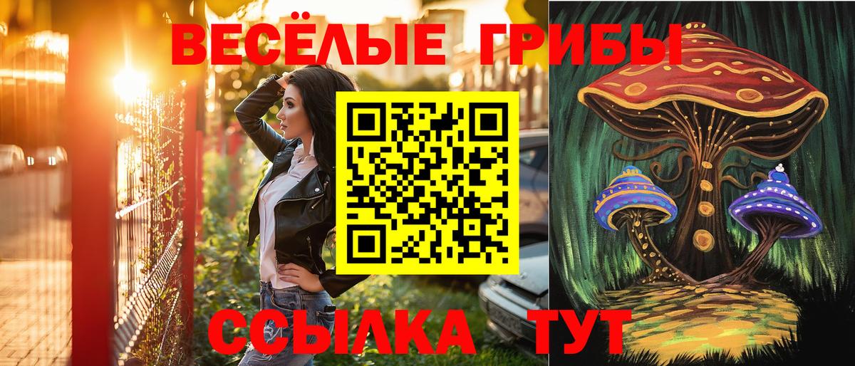 Псилоцибиновые грибы Cubensis  Вход с VPN  Галлюциногенные грибы Cubensis  Каменск-Уральский 