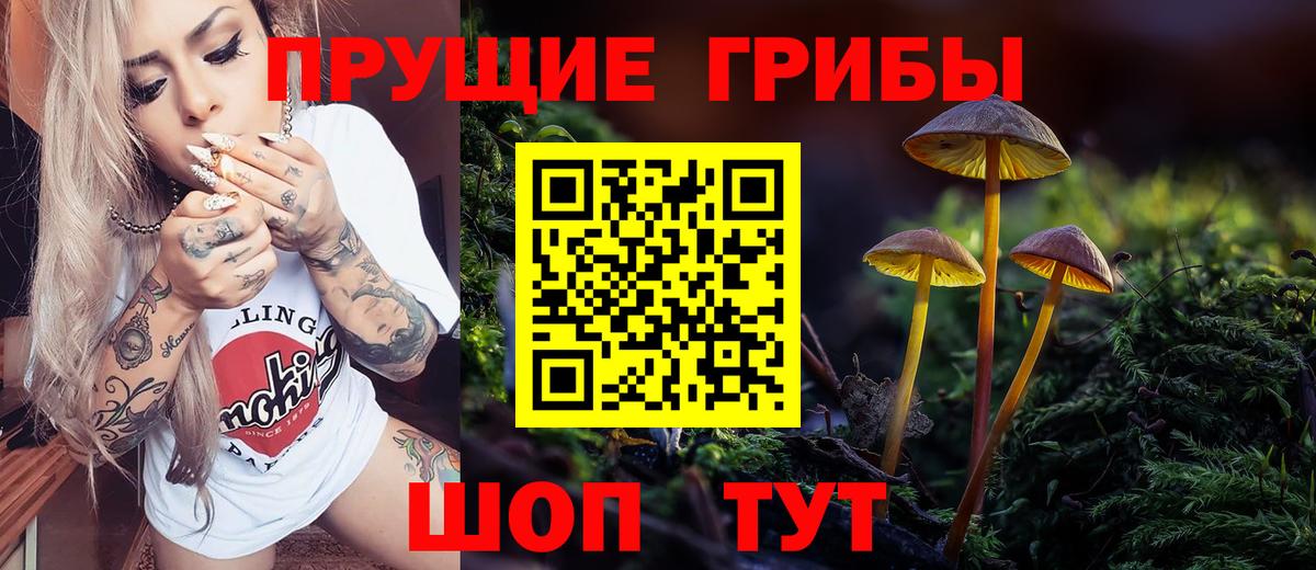 Галлюциногенные грибы ЛСД Каменск-Уральский